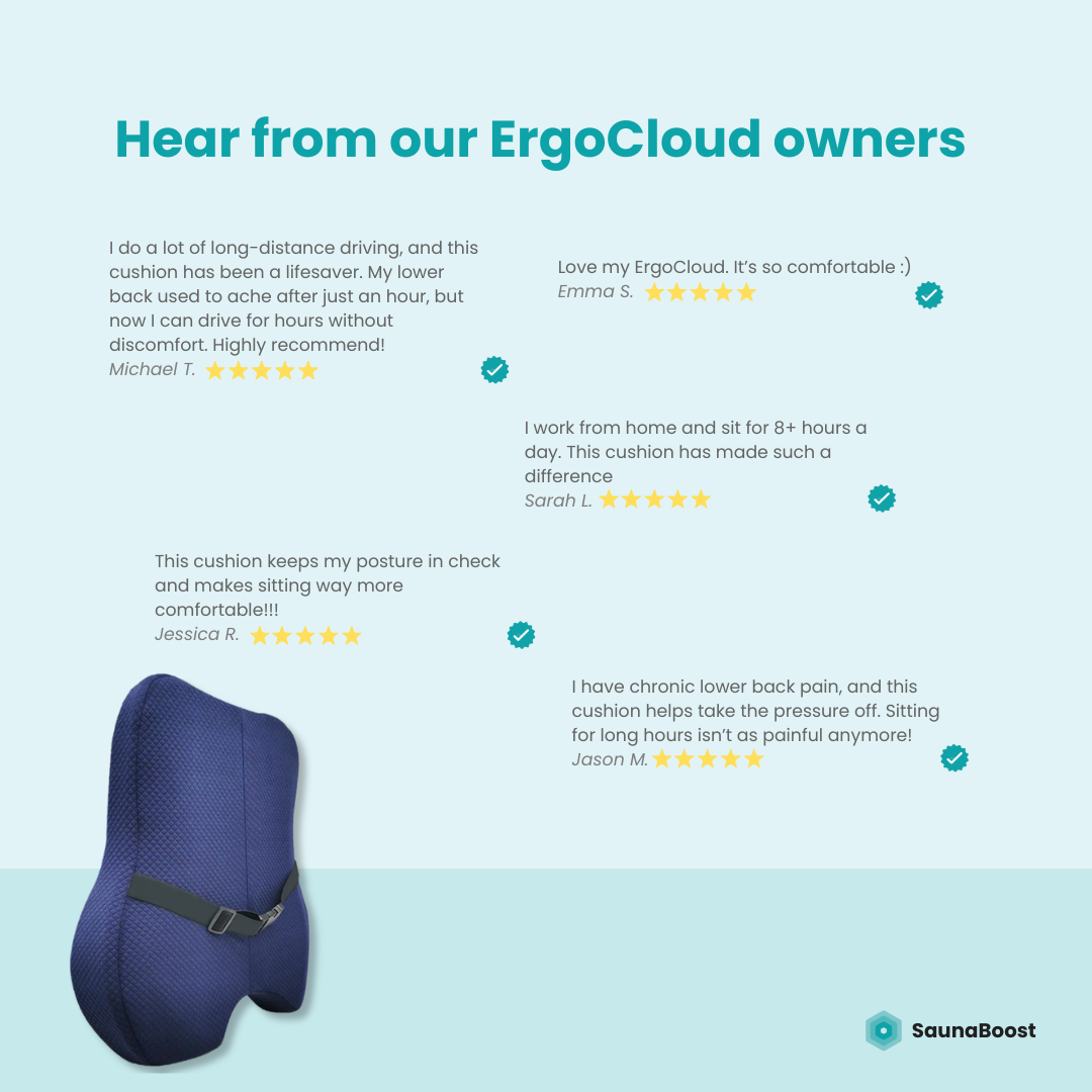 ErgoCloud Lumbar Support Pillow