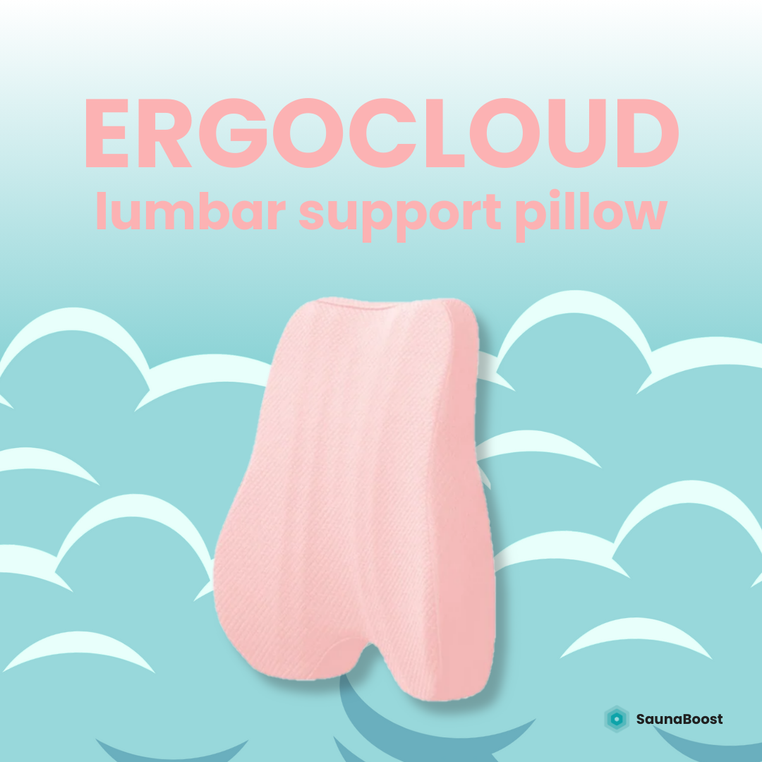 ErgoCloud Lumbar Support Pillow
