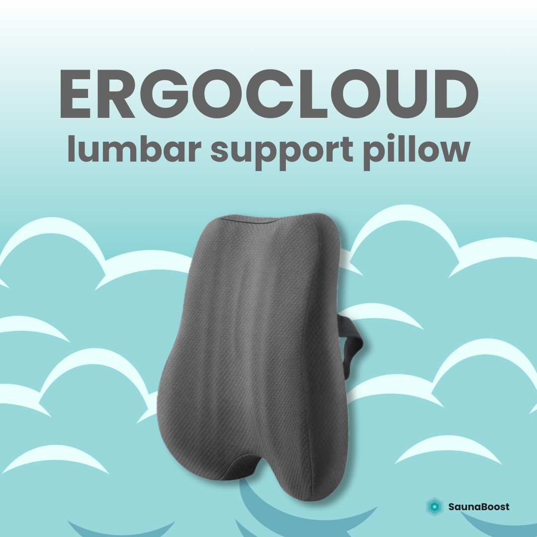 ErgoCloud Lumbar Support Pillow